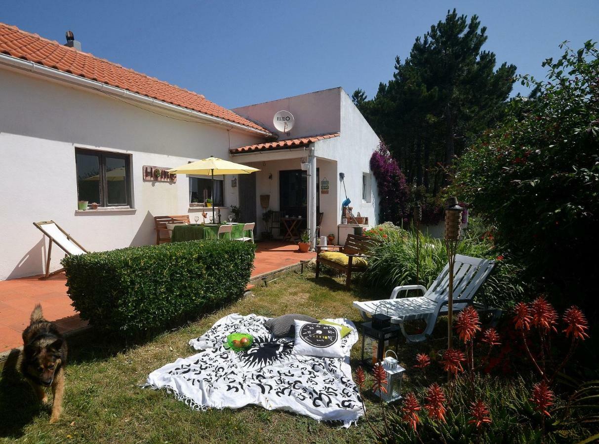 Happy Cat House - Holiday Rental Сао Мартино до Порто Екстериор снимка